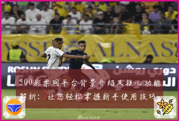 500彩票网平台背景介绍及核心功能解析：让您轻松掌握新手使用技巧